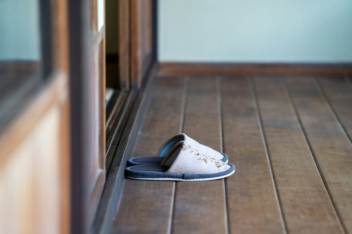 House slipper on a wooden floor by a doorway